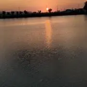 ディッキの画像