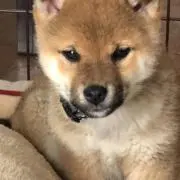 まき農園の画像