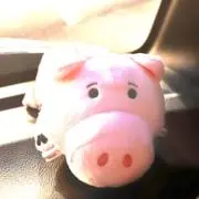 たかの画像