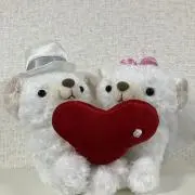 tomo♡