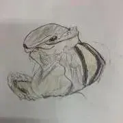 しまじろうの画像