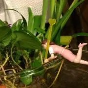 ゆっちゃんの画像