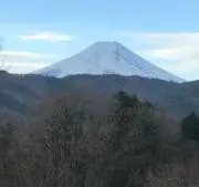若の画像