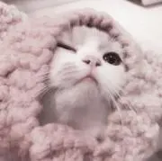 ♡jの画像