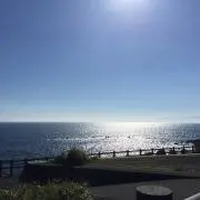 toshyの画像