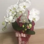 まひろ ✴︎断捨離中✴︎の画像