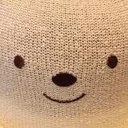 たぬきの画像