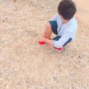 GOLD中村トメ吉 監修 アルファシザー 研ぎカード付き - メルカリ