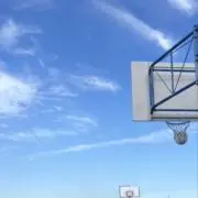 Tの画像