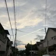 SJ※商品ID記載不可※の画像