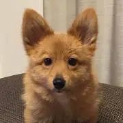 ゆっきーの画像