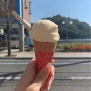 くまの画像
