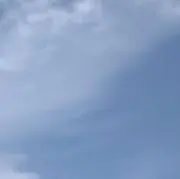 りなの画像