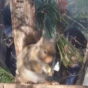 ちぇるみーの画像