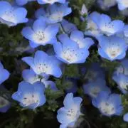 AYTの画像