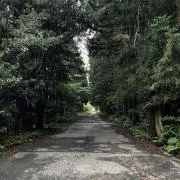 TEECU