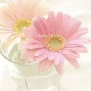 k’z☆お値引き可能です❗️の画像