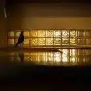 R・Rの画像