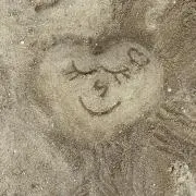 iii