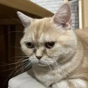 333W   ＊プロフご一読願います＊の画像