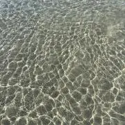 ありえるの画像