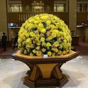 ミックの画像