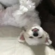 まなかママの画像