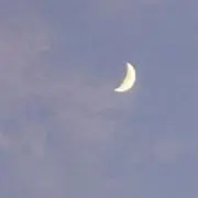 ぽぽっしゅの画像