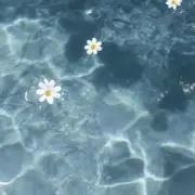 Yの画像