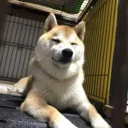 まるの画像