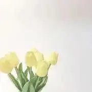 a♡の画像