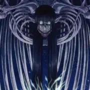 ミラボラリスの画像