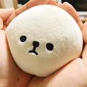S.Nの画像