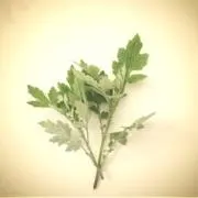 GEN★プロフ必読★の画像