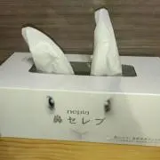 *S-A-ki-H-aya*の画像