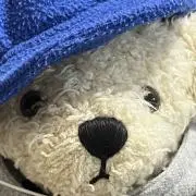 H.Sの画像