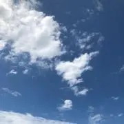リッチモの画像
