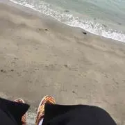 Y