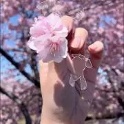 momokoの画像