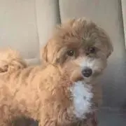 さらみ