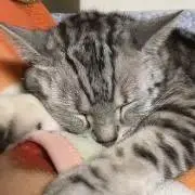水