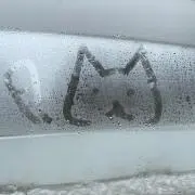 ぬこ