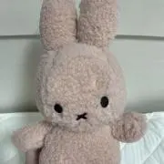 のりの画像