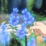 吉若の画像