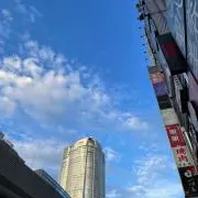 Tの画像