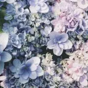 すーさん☺︎の画像