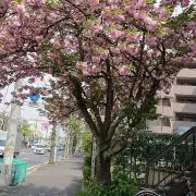 ヨナタン
