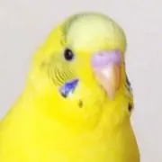 休止中ですm(_ _)mりりー