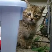 ☆ゆーな☆