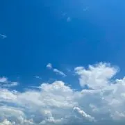 ABフライ